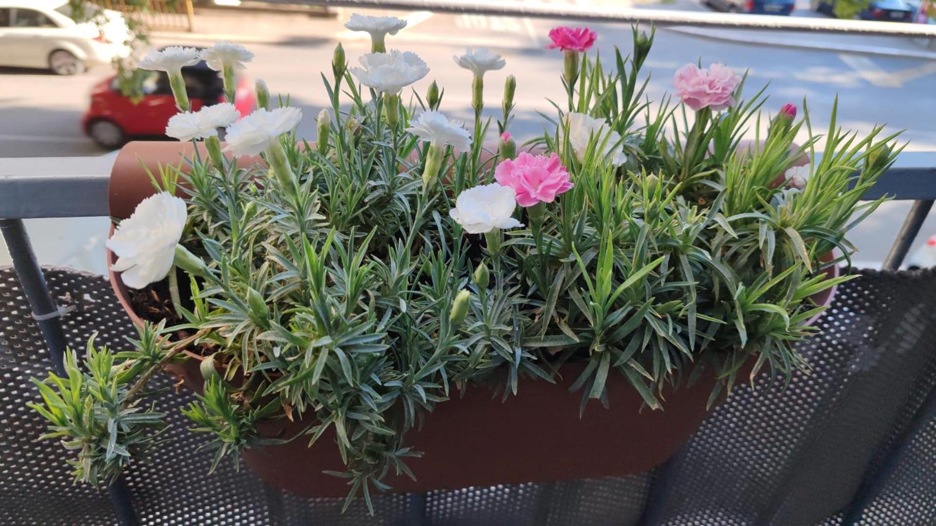 Apartman Valeria Σπλιτ Εξωτερικό φωτογραφία